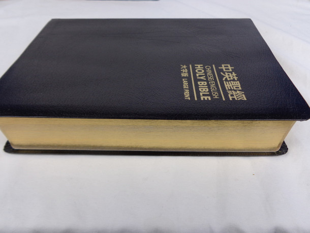 Chinese English Bible, Large Print, Union + NIV