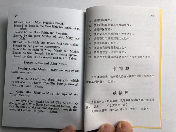 Chinese-English Catechism by Catholic Truth Society | 天主教真理协会中英文问答式教理 (3056009105)