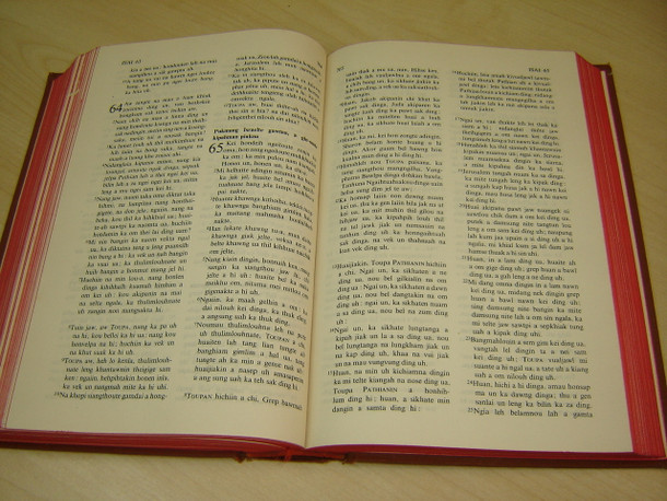 Paite Language Holy Bible with Maps, Photos / Historical 1971 Brown Hardcover Bible 83 with Red Edges, Maps, Photos