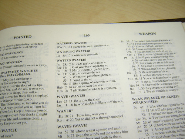 The Holy Bible: New International Version (NIV) / 1984 Text Edition NIV53-00139 