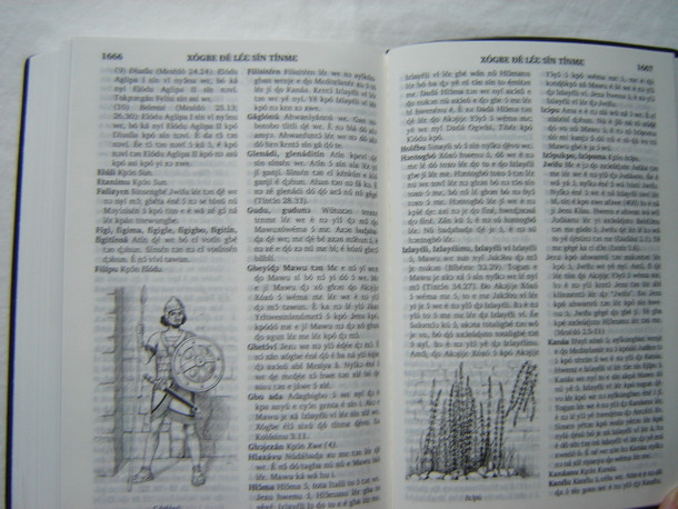 Mawuxowema / Fon Language Bible 062P with Illustration and Maps / An African Language Native to Benin and Togo