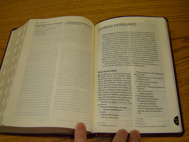 Lithuanian Holy Bible - Ecumenical Edition / Biblija arba Sventasis Rastas - Ekumeninis leidimas 