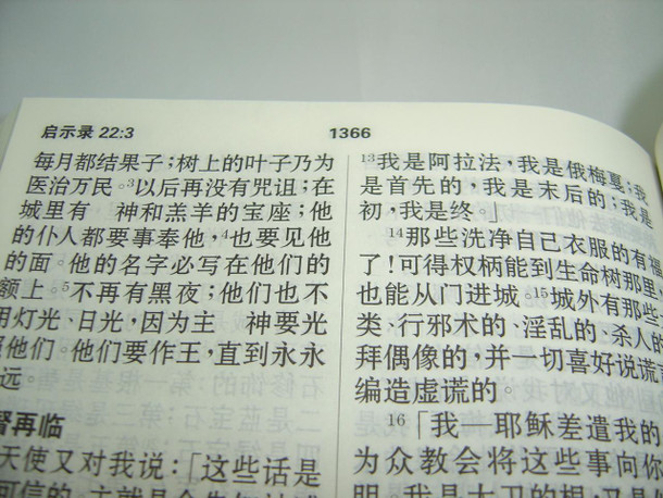 Chinese Union Version with New Punctuation (CUNP) Prison Ministry Bible – Freedom of the Soul / Simplified Chinese / 圣经 新标点和合本 心灵的自由 (9789812205520)