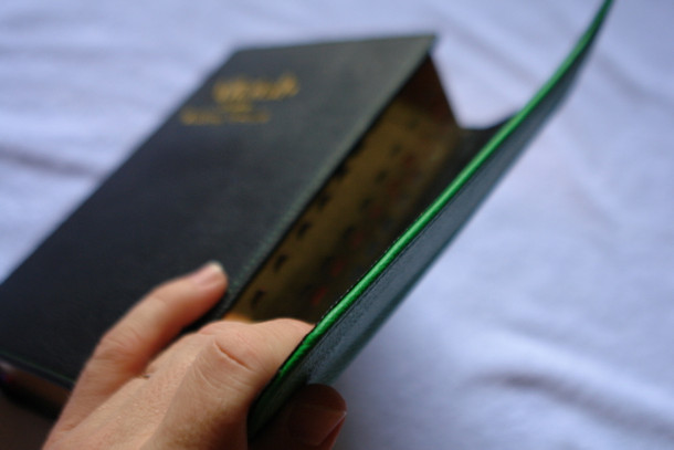 Indonesia Bible with Hymnal 064TI / Luxury Green Black Leather 