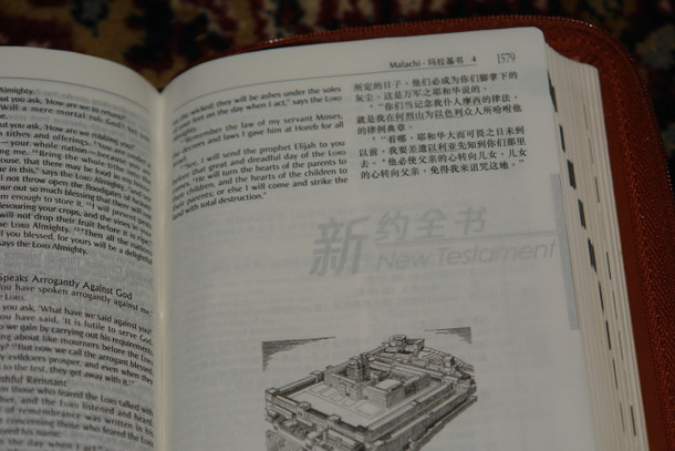 Chinese - English Bilingual Bible / Revised Chinese Union Version RCUSS - NIV / Brown Leather Bound
