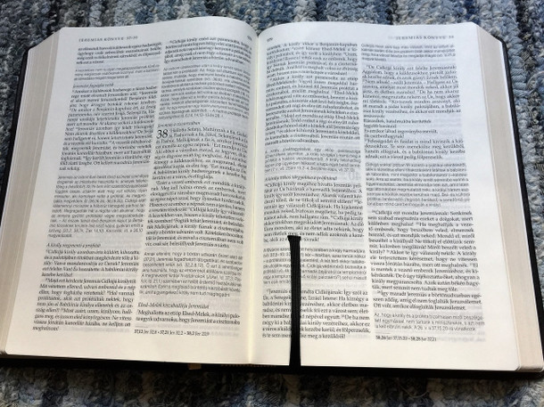 Biblia magyarázó jegyzetekkel bőr, arany (RÚF 2014) | Stuttgarter Study Bible Notes in Hungarian 