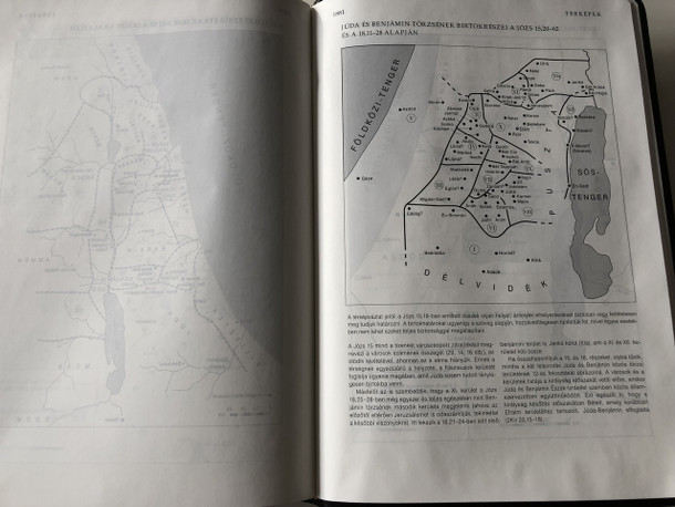 Biblia magyarázó jegyzetekkel bőr, arany (RÚF 2014) | Stuttgarter Study Bible Notes in Hungarian 