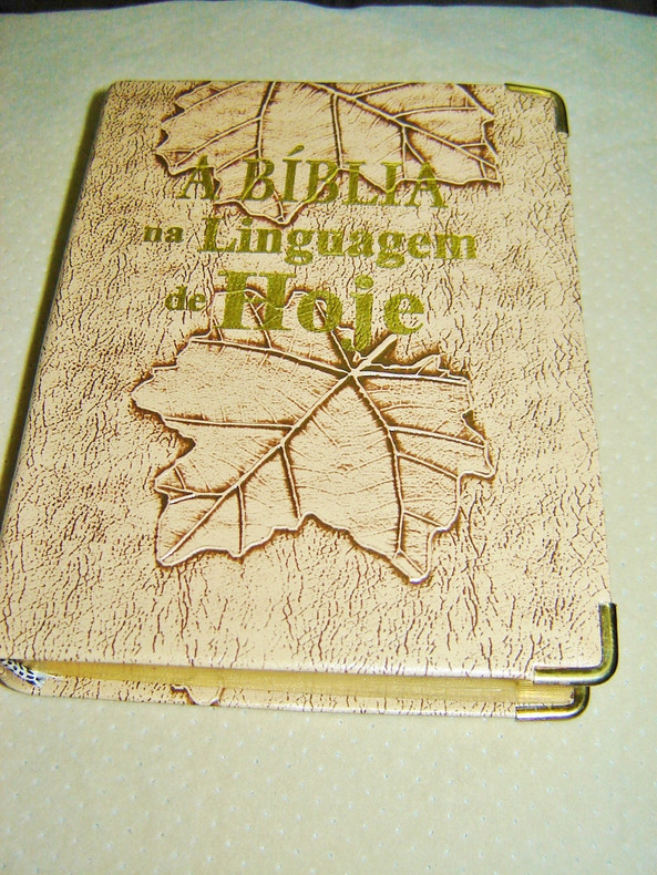 Very Beautiful Edition!SMALL BRASILIAN PORTUGUESE BIBLE WITH MAPS AND VOCABULARY / BIBLIA SAGRADA