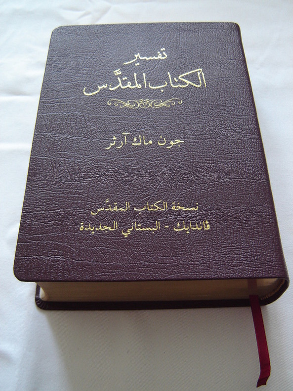 ARABIC MACARTHUR STUDY BIBLE تفسير الكتاب المقدّس جون ماك ارثور BURGUNDY GENUINE LEATHER BINDING, GUILDED-GOLD PAGE EDGES, WITH STUDY HELPS