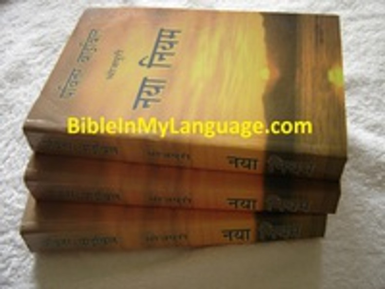 Adding a new language to our store:  Bhojpuri Language New Testament / A Language Spoken in the Bhojpuri Region of North India and Madhesh of Nepal