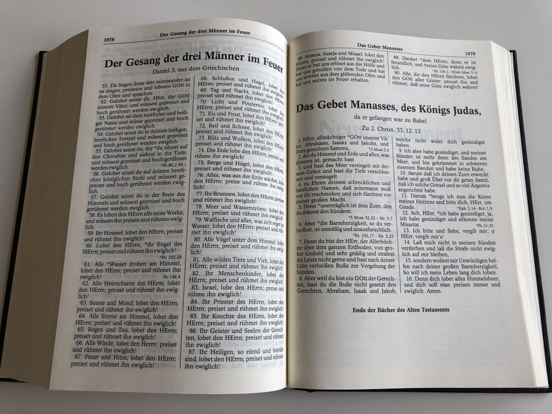 German Bible / Die Bibel - Die Heilige Schrift - Ausgabe von 1545: Altes und Neues Testament mit Apokryphen (9783929602227)