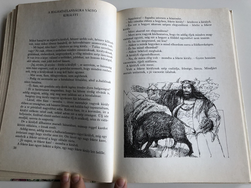 Móricz Zsigmond : A halhatatlanságra vágyó királyfi -A nehéz kétgarasos / Eszik Alajos Rajszaival / HUNGARIAN LANGUAGE EDITION HARDCOVER BOOK FOR CHILDREN / 5. felújított, bővített kiadás - 5th Edition (9631137473)