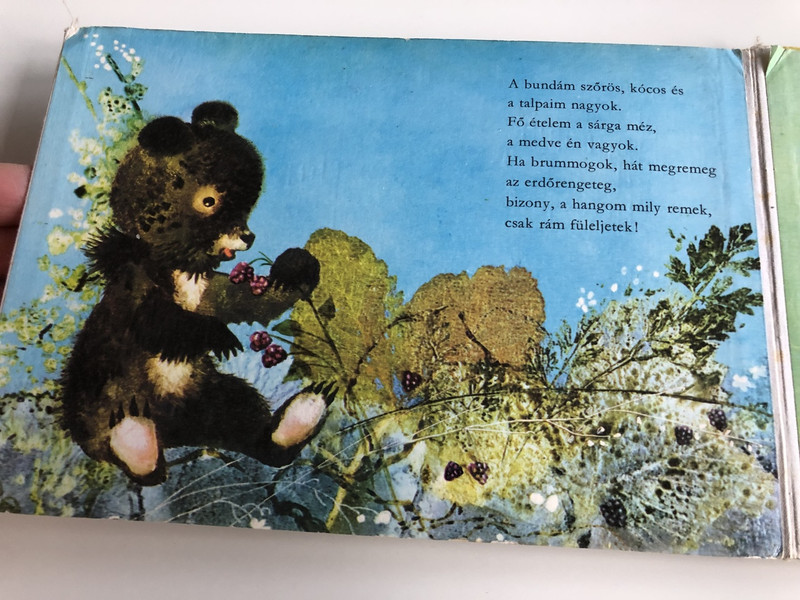 Erdőben Jártam - Csukás István - Csergezán Pál / 3. Kiadás - 3th Edition / HUNGARIAN COLORFUL RHYME BOARD BOOK FOR CHILDREN / SZÍNES LAPOZÓ (9631124088)