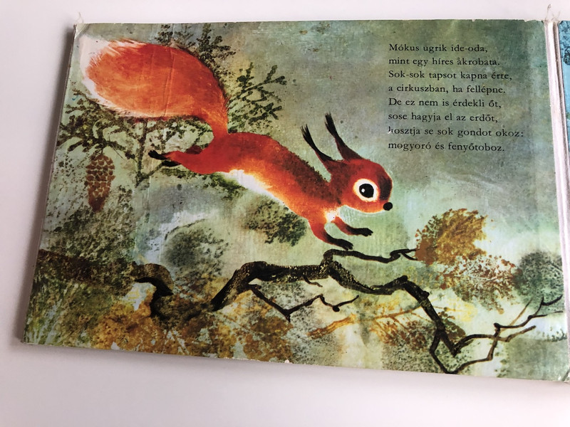Erdőben Jártam - Csukás István - Csergezán Pál / 3. Kiadás - 3th Edition / HUNGARIAN COLORFUL RHYME BOARD BOOK FOR CHILDREN / SZÍNES LAPOZÓ (9631124088)