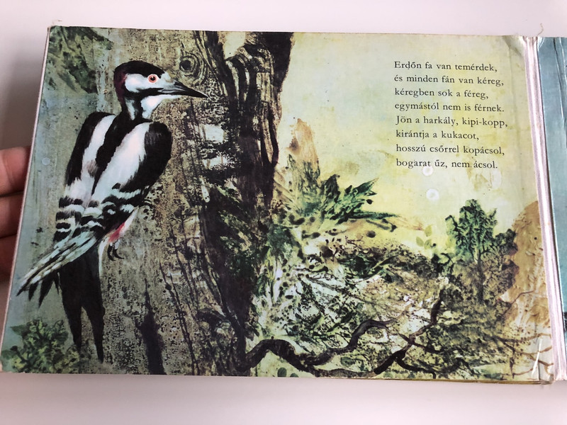 Erdőben Jártam - Csukás István - Csergezán Pál / 3. Kiadás - 3th Edition / HUNGARIAN COLORFUL RHYME BOARD BOOK FOR CHILDREN / SZÍNES LAPOZÓ (9631124088)
