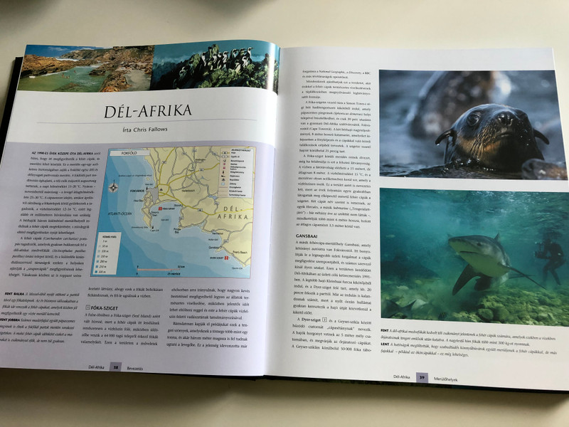 Búvár Világatlasz - A legjobb merülőhelyek Képes Kalauza / Hungarian edition of Dive Atlas of the World / Editor Jack Jackson, Illustrations Steven Felmore / Atenaeum 2003 (9639471895)