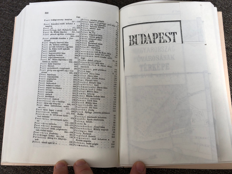 Buda-Pest és környékének Helyrajzi története by Rupp Jakab / Két Térképpel / Topographic history of Buda-Pest in Hungarian language