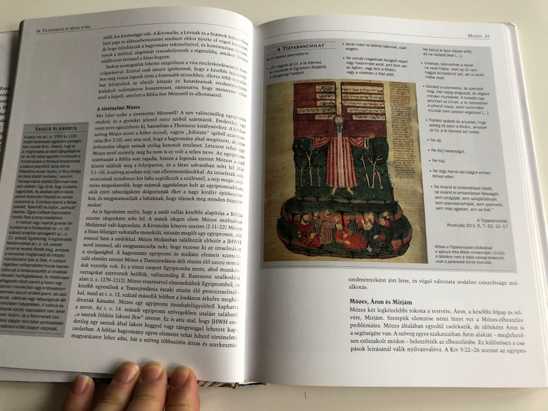 Ószövetségi Uralkodók Krónikája by John Rogerson / Hungarian edition of Chronicle of The Old Testament Kings / The Reign-by-Reign Record of the Rulers of Ancient Israel / Pátriárkák, Bírák és Királyok Története / Móra (9789631187861)