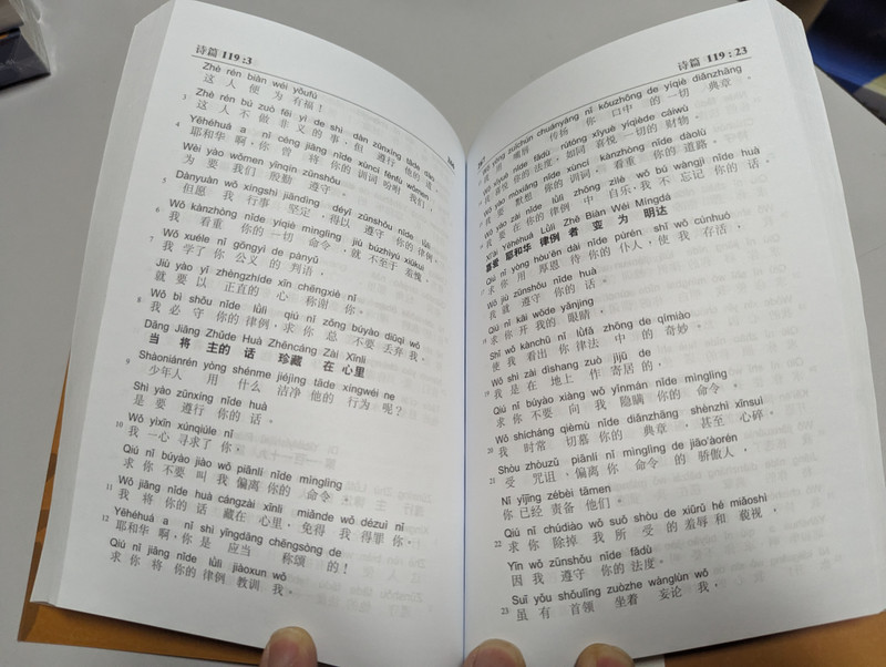 Psalms and Proverbs - Union Versin (PIN YIN Chinese Phonetic Alphabet Edition (9789625136110)