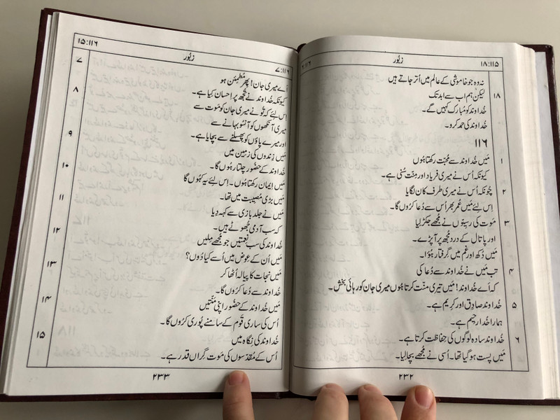 Book of Psalms from the old testament in Urdu Language / Large Print / Pakistan Bible Society 2014 (9789692508170)