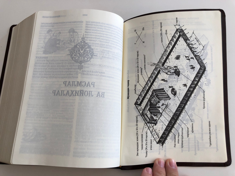 Мукаддас китоб / Leather bound Uzbek Holy Bible / With Commentaries and NT parallel passage tables, Golden edges, ribbon bookmarks / Oʻzbekcha / Ўзбекча / Cyrillic script / Brown Leather bound 2018 (978593943213-9)