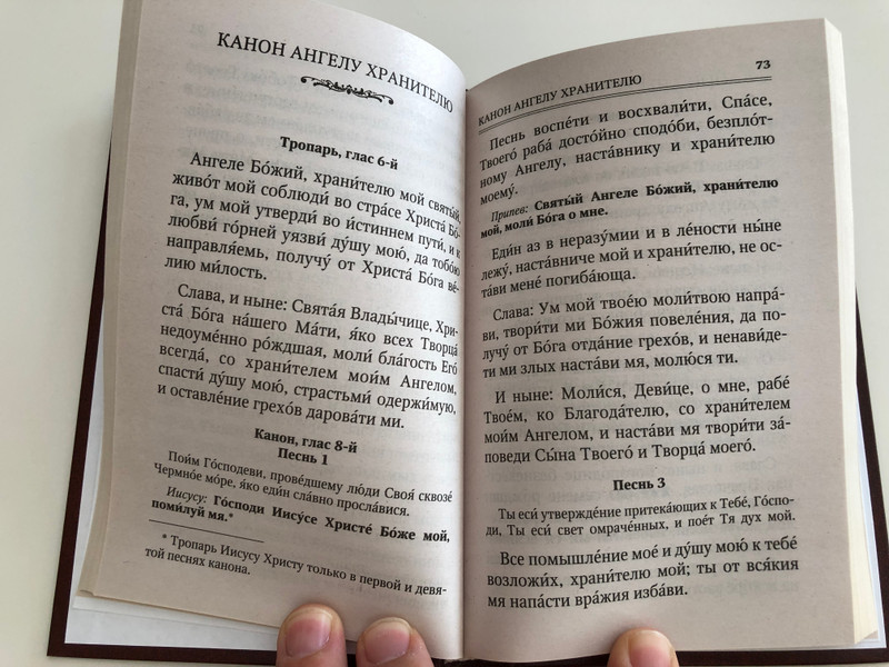 Russian language Prayer book - Молитвослов - Communion Rule, Prayers for every need, Prayers for relatives, prayers for monetary problems / Terirem 2016 (9785424700040)