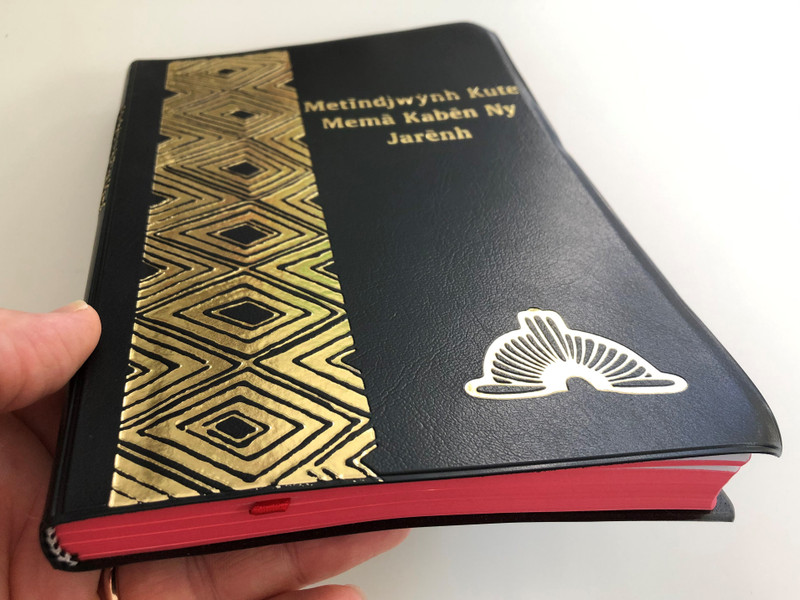 Metĩndjwýnh Kute Memã Kabẽn Ny Jarẽnh - O Novo testamento / The New Testament in Kayapó language / Bible Society Brasil 2015 / Vinyl bound / Red page edges / 3rd edition with illustrations & dictionary (KayapóNT)