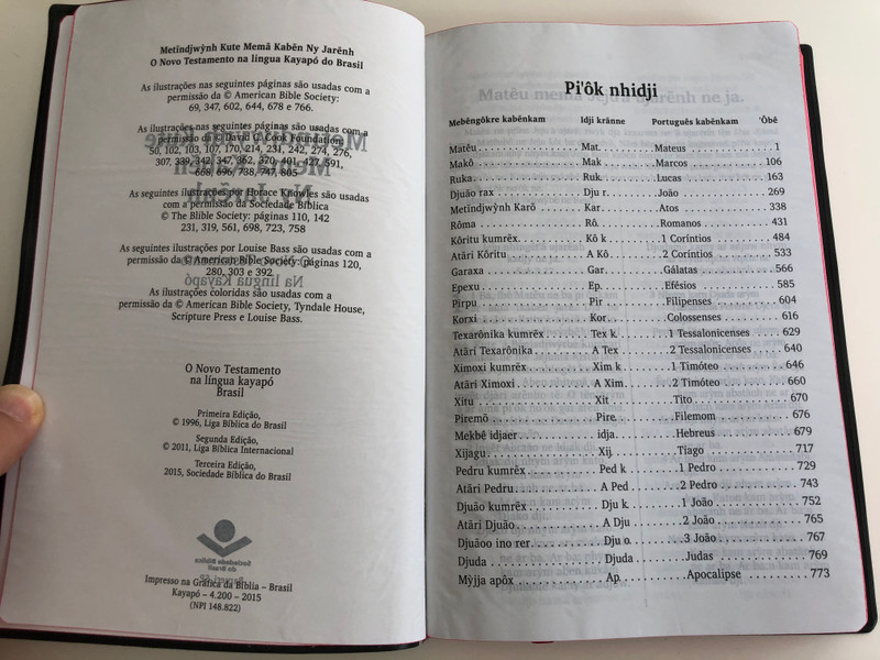 Metĩndjwýnh Kute Memã Kabẽn Ny Jarẽnh - O Novo testamento / The New Testament in Kayapó language / Bible Society Brasil 2015 / Vinyl bound / Red page edges / 3rd edition with illustrations & dictionary (KayapóNT)