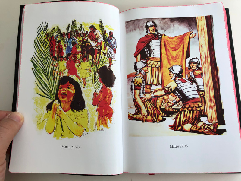 Metĩndjwýnh Kute Memã Kabẽn Ny Jarẽnh - O Novo testamento / The New Testament in Kayapó language / Bible Society Brasil 2015 / Vinyl bound / Red page edges / 3rd edition with illustrations & dictionary (KayapóNT)