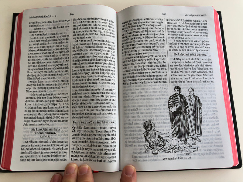 Metĩndjwýnh Kute Memã Kabẽn Ny Jarẽnh - O Novo testamento / The New Testament in Kayapó language / Bible Society Brasil 2015 / Vinyl bound / Red page edges / 3rd edition with illustrations & dictionary (KayapóNT)