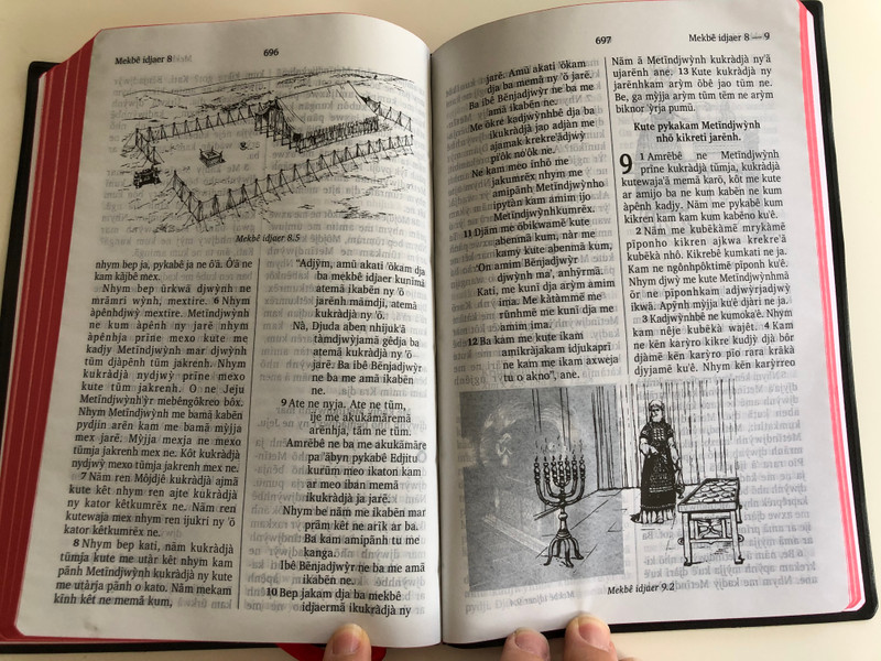 Metĩndjwýnh Kute Memã Kabẽn Ny Jarẽnh - O Novo testamento / The New Testament in Kayapó language / Bible Society Brasil 2015 / Vinyl bound / Red page edges / 3rd edition with illustrations & dictionary (KayapóNT)