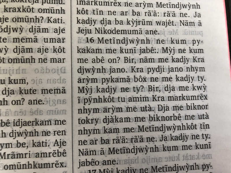 Metĩndjwýnh Kute Memã Kabẽn Ny Jarẽnh - O Novo testamento / The New Testament in Kayapó language / Bible Society Brasil 2015 / Vinyl bound / Red page edges / 3rd edition with illustrations & dictionary (KayapóNT)