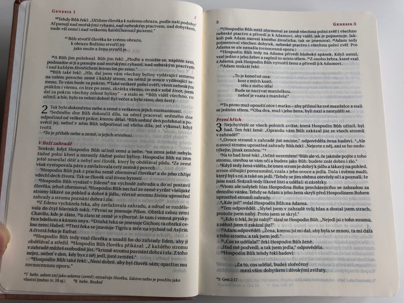 Czech language Bible / 21st Century translation / Skin tone Imitation Leather Cover / Bible, překlad 21. století / Bible21 (9788087282373)