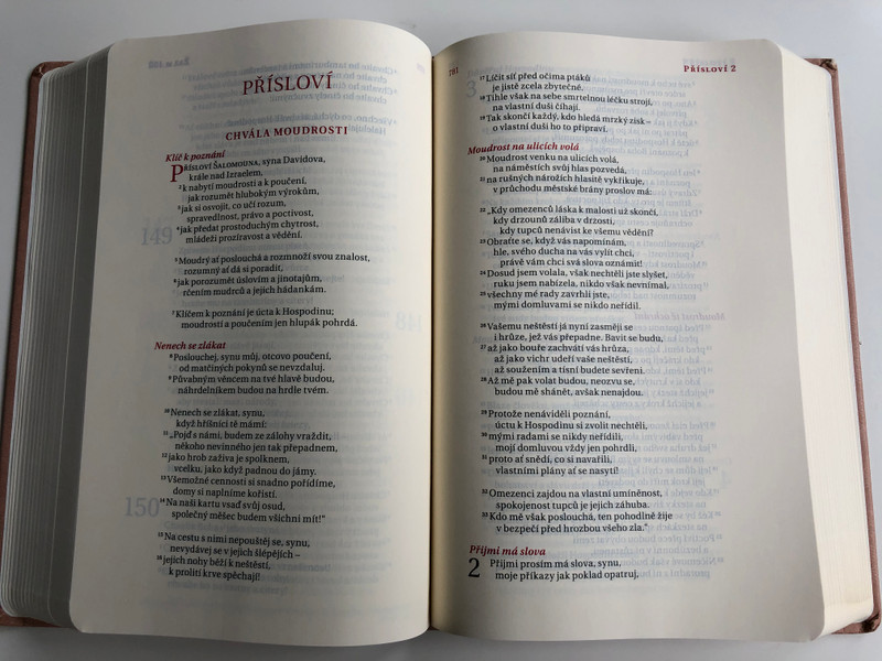 Czech language Bible / 21st Century translation / Skin tone Imitation Leather Cover / Bible, překlad 21. století / Bible21 (9788087282373)