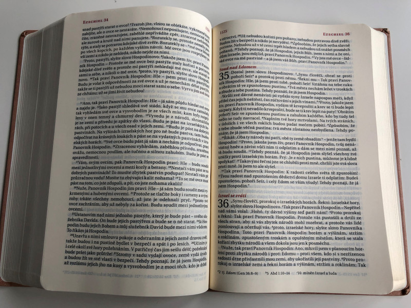 Czech language Bible / 21st Century translation / Skin tone Imitation Leather Cover / Bible, překlad 21. století / Bible21 (9788087282373)