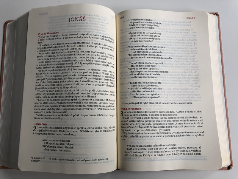 Czech language Bible / 21st Century translation / Skin tone Imitation Leather Cover / Bible, překlad 21. století / Bible21 (9788087282373)