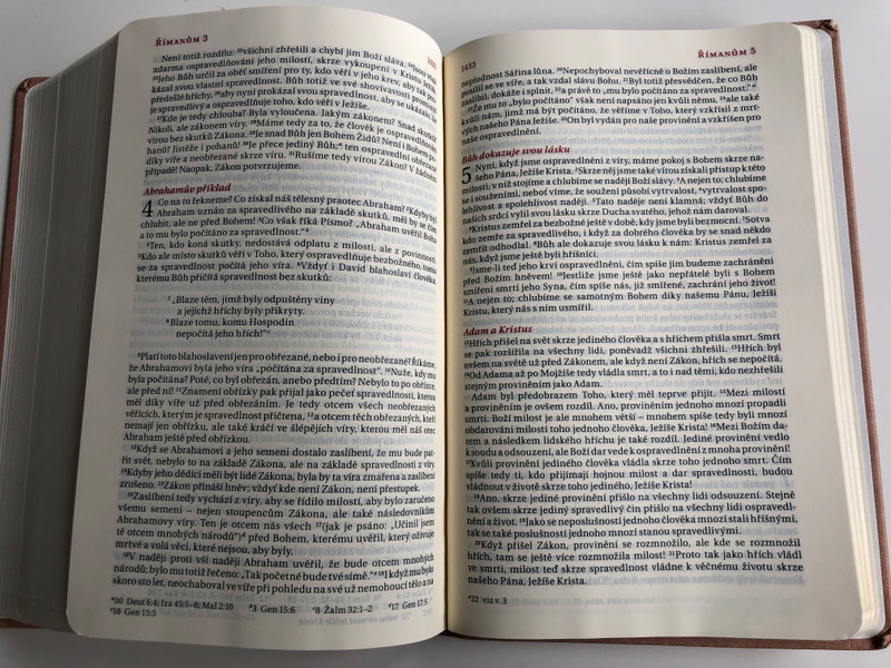 Czech language Bible / 21st Century translation / Skin tone Imitation Leather Cover / Bible, překlad 21. století / Bible21 (9788087282373)