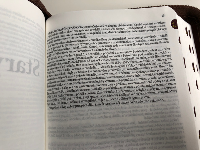 Leather Bound Bible in Czech language - Ecumenical translation / Brown with zipper & thumb index / Pismo Svaté Starého a Nového Zakona / Český Ekumenický překlad / Česká biblicka společnost 2015 (9788075450036)