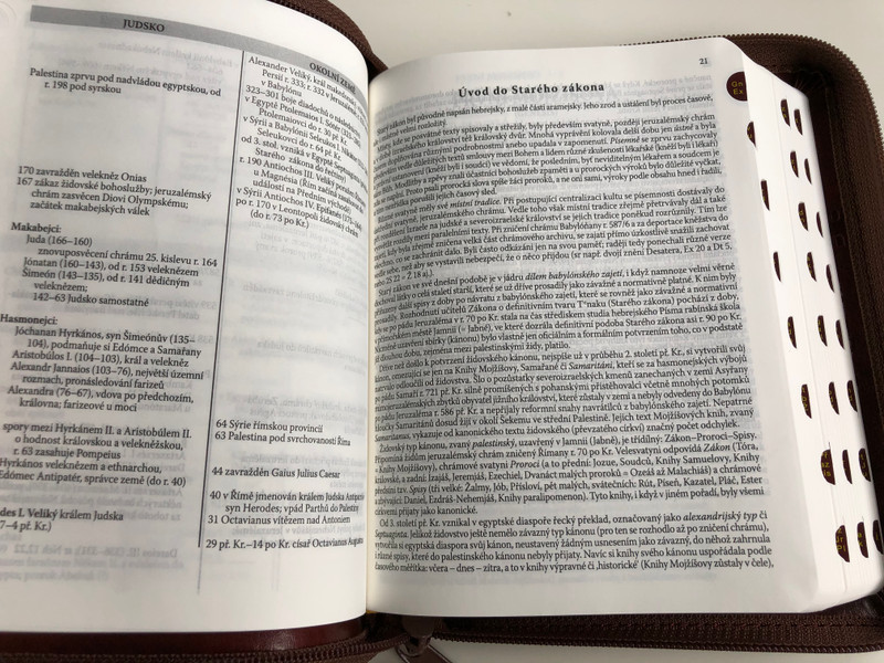 Leather Bound Bible in Czech language - Ecumenical translation / Brown with zipper & thumb index / Pismo Svaté Starého a Nového Zakona / Český Ekumenický překlad / Česká biblicka společnost 2015 (9788075450036)