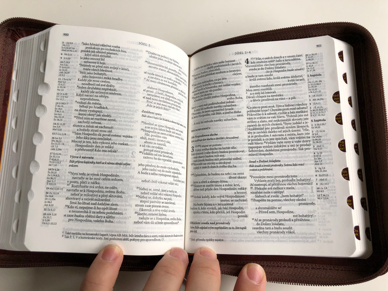 Leather Bound Bible in Czech language - Ecumenical translation / Brown with zipper & thumb index / Pismo Svaté Starého a Nového Zakona / Český Ekumenický překlad / Česká biblicka společnost 2015 (9788075450036)