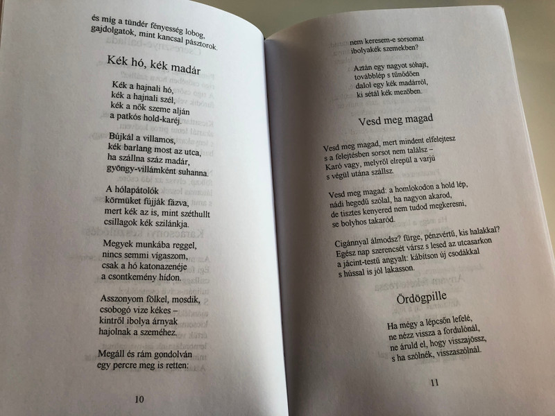 Föld, nyitott sebem by Csoóri Sándor / Összegyűjtött versek CD-Melléklettel / Selection of Poems in Hungarian language by Sándor Csoóri / Nap Kiadó 2010 / Hardcover (9789639658806)