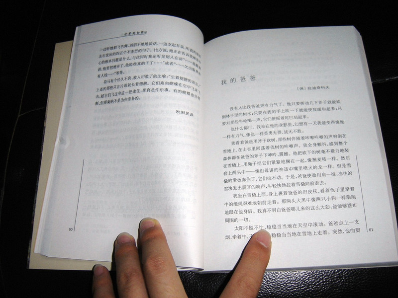 What A Wonderful World / French Literature Classic / Chinese Language Translation Edition