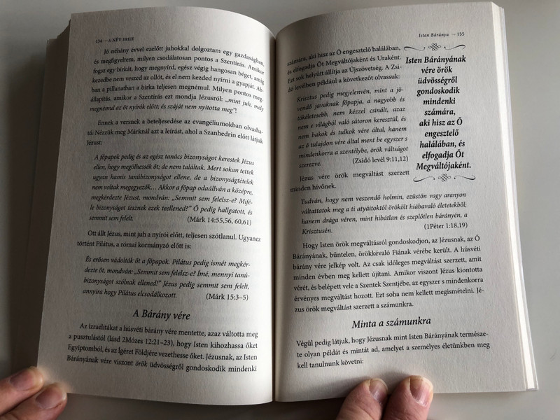 A név ereje by Derek Prince / Hungarian edition of Power in the Name / Immanuel Szószóró 2013 / Paperback (9786155246173)
