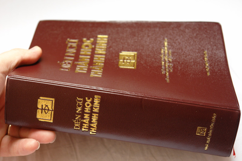Điển ngữ thần học thánh kinh by Nguyen van ban Phap ngu / Vietnamese Dictionary of Biblical Theology / Vinyl Bound 2016 (9786046133155)