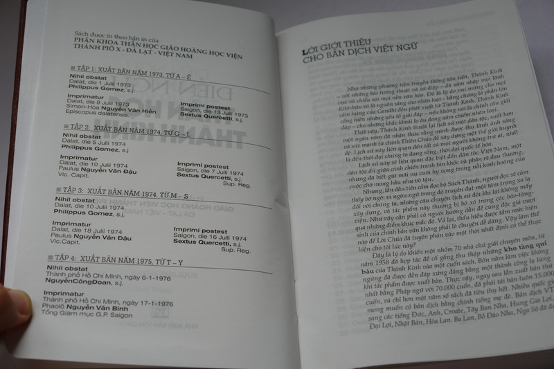 Điển ngữ thần học thánh kinh by Nguyen van ban Phap ngu / Vietnamese Dictionary of Biblical Theology / Vinyl Bound 2016 (9786046133155)