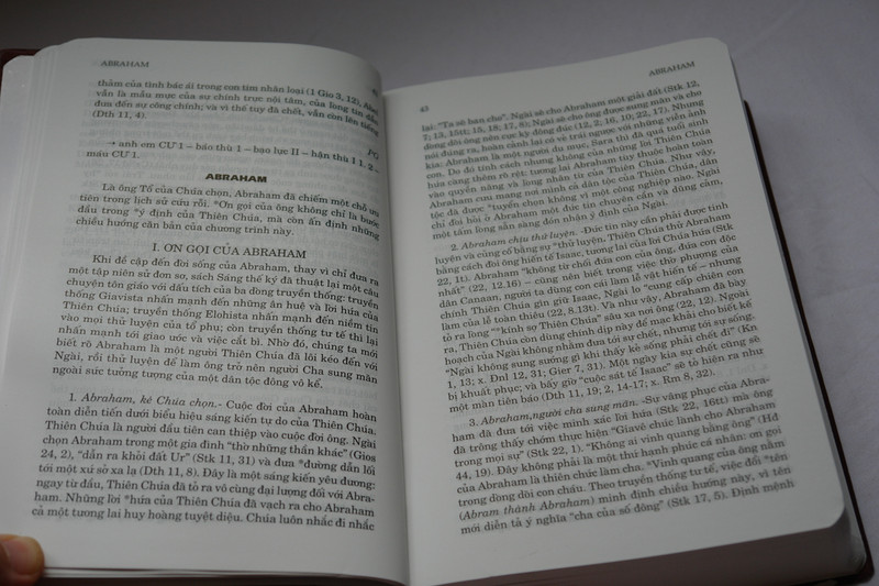 Điển ngữ thần học thánh kinh by Nguyen van ban Phap ngu / Vietnamese Dictionary of Biblical Theology / Vinyl Bound 2016 (9786046133155)