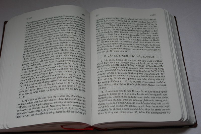Điển ngữ thần học thánh kinh by Nguyen van ban Phap ngu / Vietnamese Dictionary of Biblical Theology / Vinyl Bound 2016 (9786046133155)