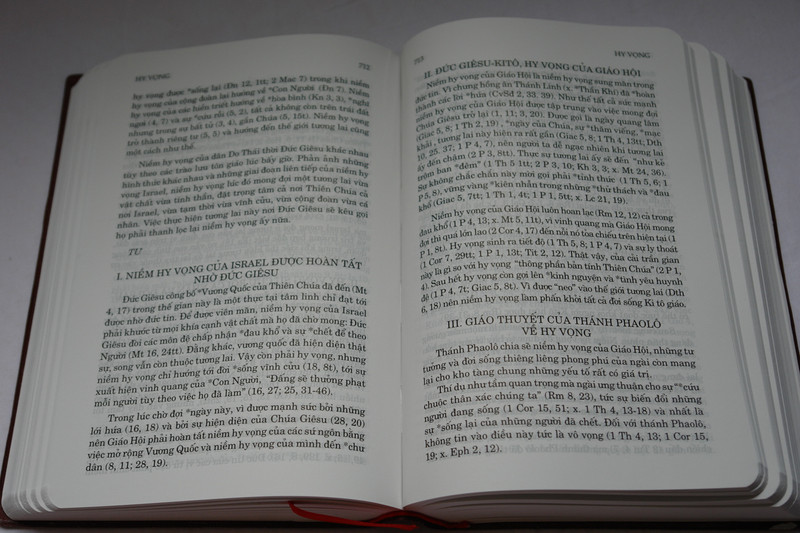 Điển ngữ thần học thánh kinh by Nguyen van ban Phap ngu / Vietnamese Dictionary of Biblical Theology / Vinyl Bound 2016 (9786046133155)