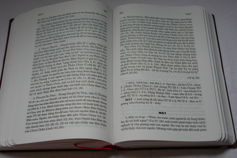 Điển ngữ thần học thánh kinh by Nguyen van ban Phap ngu / Vietnamese Dictionary of Biblical Theology / Vinyl Bound 2016 (9786046133155)