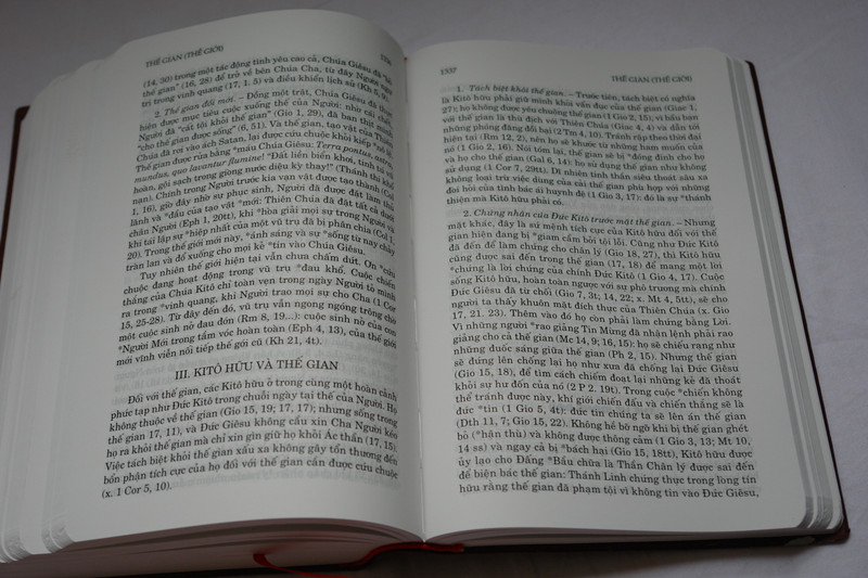Điển ngữ thần học thánh kinh by Nguyen van ban Phap ngu / Vietnamese Dictionary of Biblical Theology / Vinyl Bound 2016 (9786046133155)